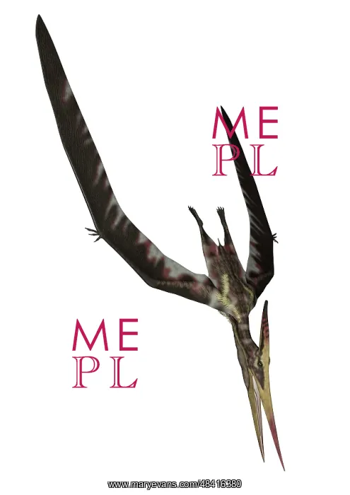 : Pteranodon flying reptile : Pteranodon flying reptile