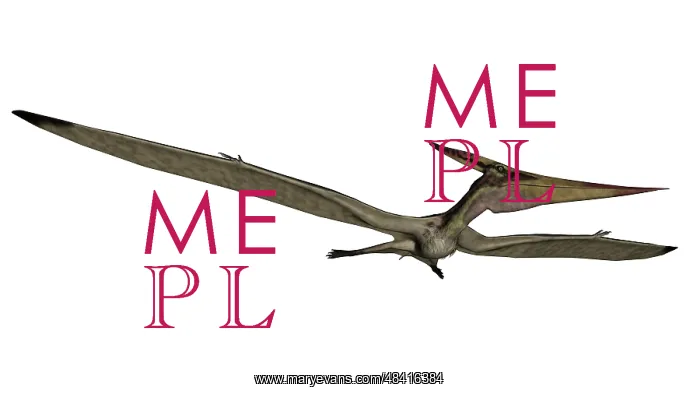 : Pteranodon flying reptile : Pteranodon flying reptile