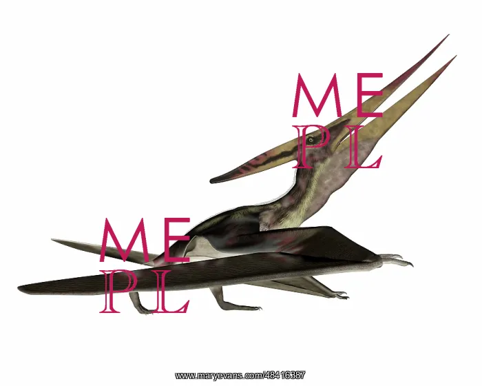 : Pteranodon flying reptile : Pteranodon flying reptile