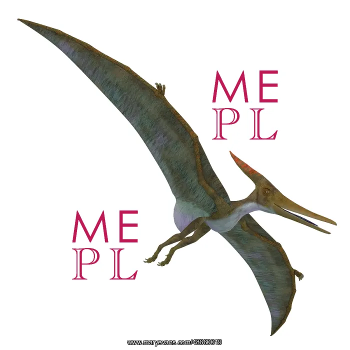: Pteranodon flying reptile : Pteranodon flying reptile