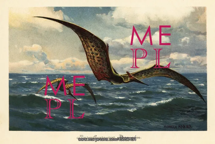 : Pteranodon longiceps flying over the sea : Pteranodon longiceps flying over the sea
