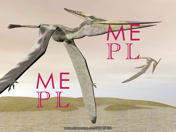 : Two pteranodons flying over small islands : Two pteranodons flying over small islands