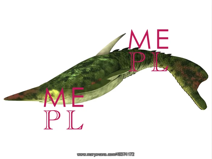 : Pteraspis is an extinct genus of jawless fish : Pteraspis is an extinct genus of jawless fish