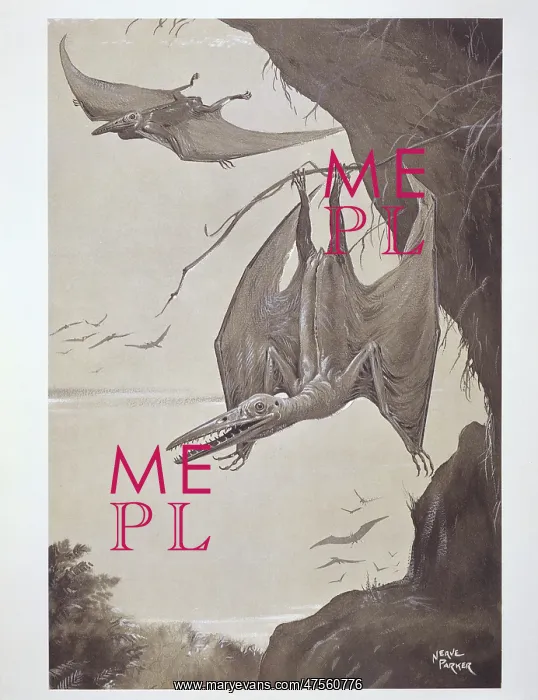 : Pterodactyl : Pterodactyl