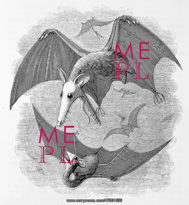  : Pterodactyls considered as marsupial bats