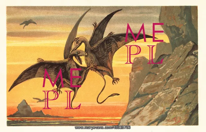 : Two pterodactyls fighting in mid flight against : Two pterodactyls fighting in mid flight against