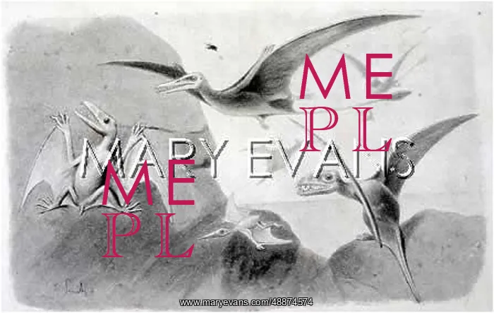 : PTERODACTYLS / SMIT : PTERODACTYLS / SMIT