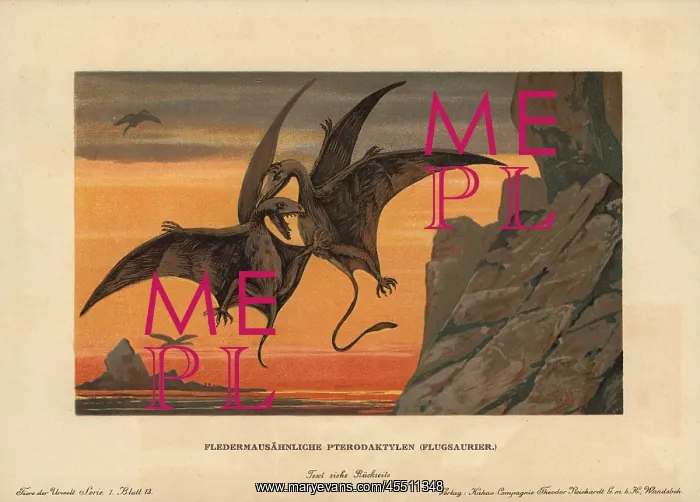 : Pterodactylus, extinct genus of pterosaurs : Pterodactylus, extinct genus of pterosaurs