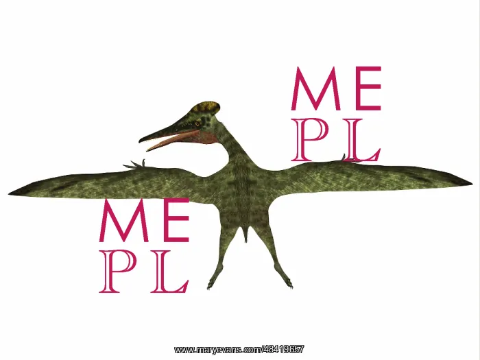 : Pterodactylus flying reptile : Pterodactylus flying reptile