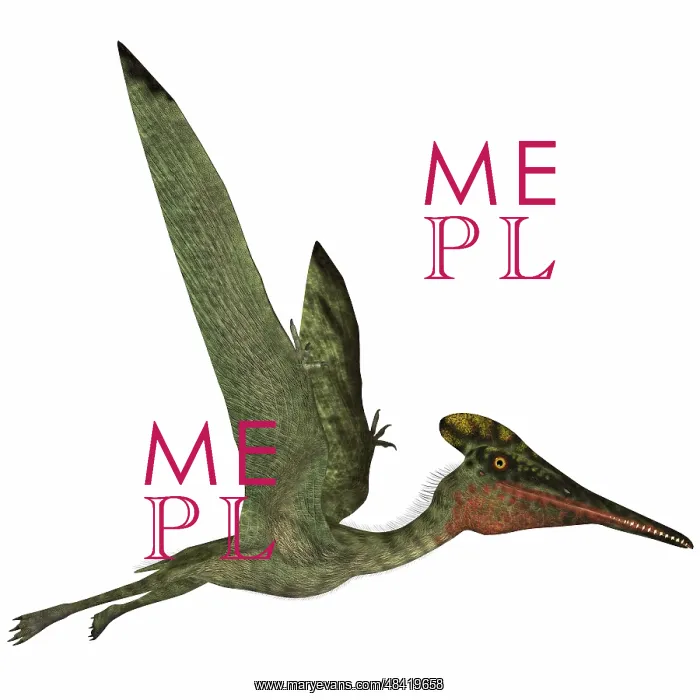 : Pterodactylus flying reptile : Pterodactylus flying reptile