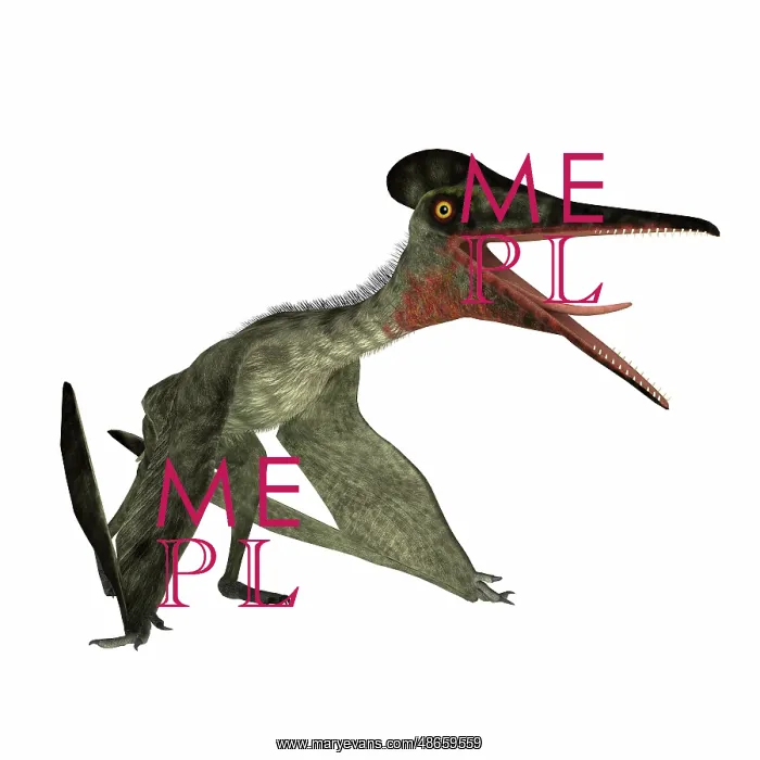 : Pterodactylus sitting, on white background : Pterodactylus sitting, on white background
