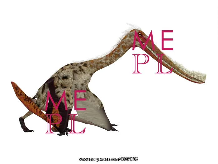 : Pterodaustro pterosaur on white background : Pterodaustro pterosaur on white background