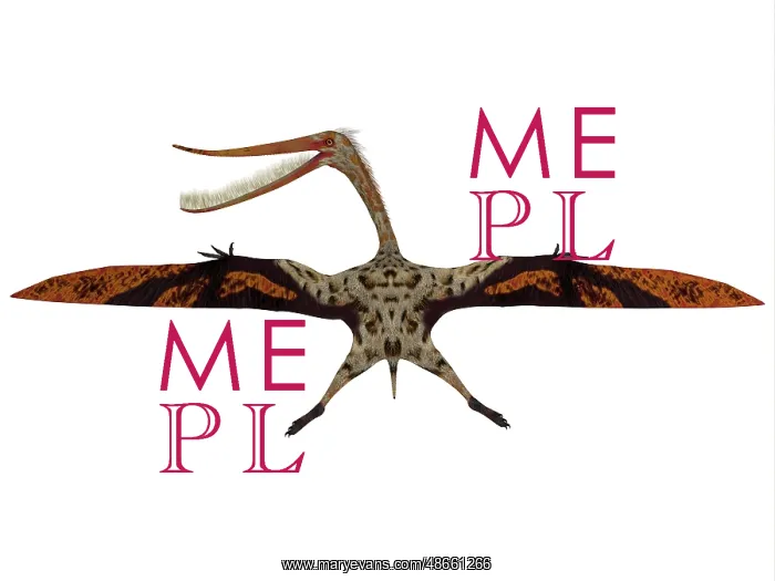 : Pterodaustro pterosaur with wings spread : Pterodaustro pterosaur with wings spread