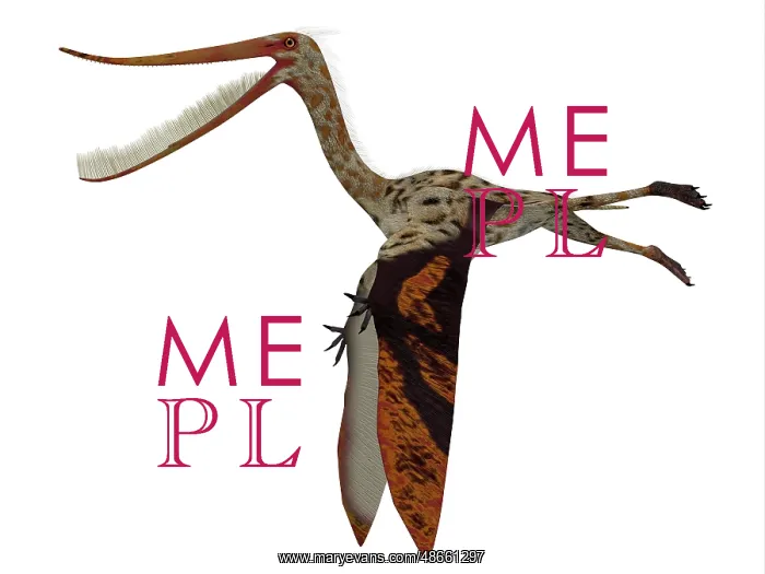 : Pterodaustro reptile, side profile : Pterodaustro reptile, side profile
