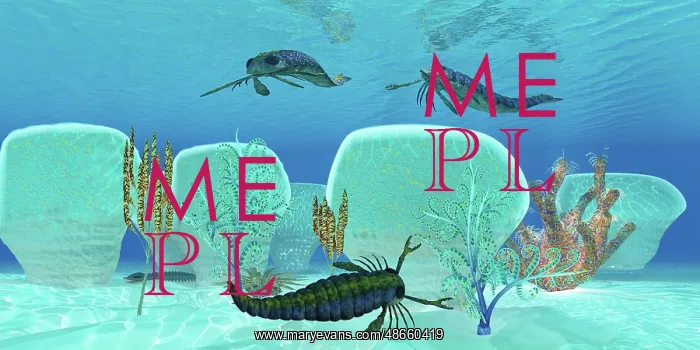 : Pterygotus swimming in prehistoric waters : Pterygotus swimming in prehistoric waters