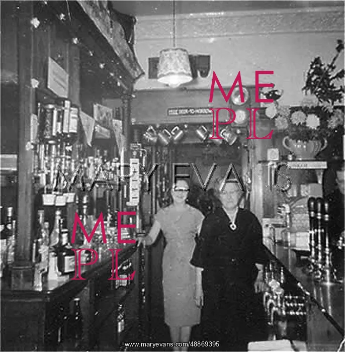  : PUB BAR AND BARMAIDS