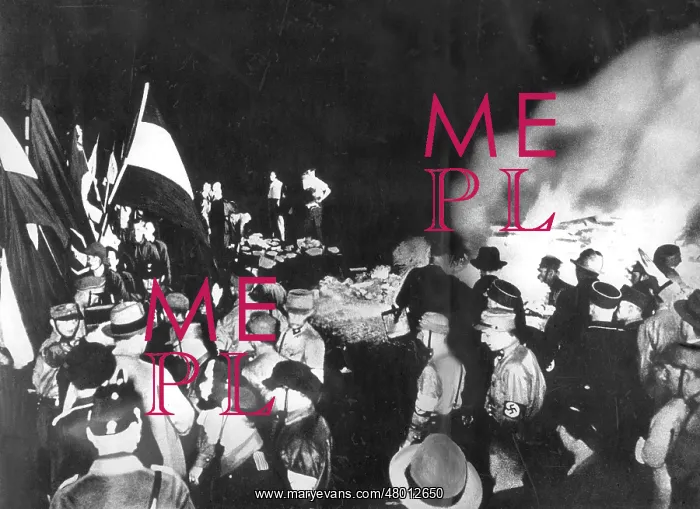: Public book burning, 1933 : Public book burning, 1933