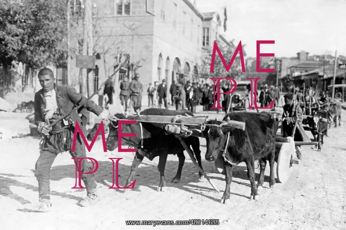 : Public life in Turkey, 1924 : Public life in Turkey, 1924