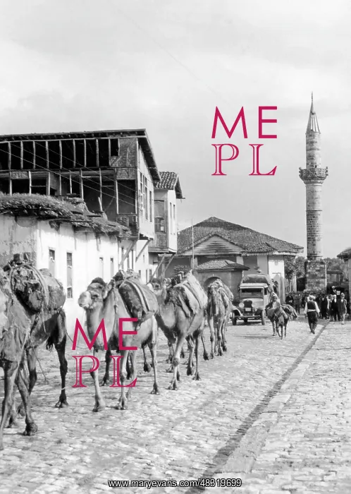 : Public life in Turkey, 1933 : Public life in Turkey, 1933