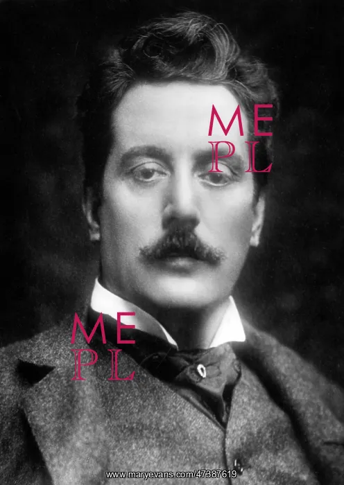  : PUCCINI PHOTO