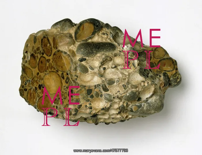 : Puddingstone : Puddingstone