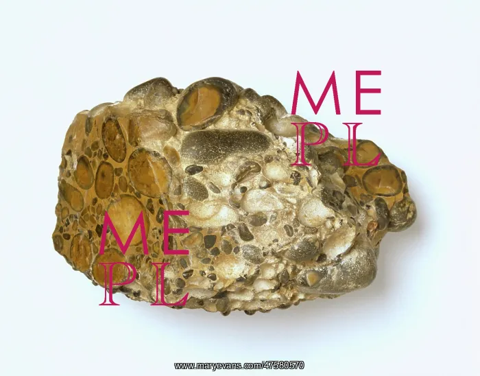 : Puddingstone : Puddingstone