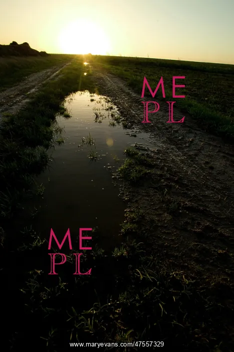 : Puddle in the sun near to Loos Road Redoubt : Puddle in the sun near to Loos Road Redoubt