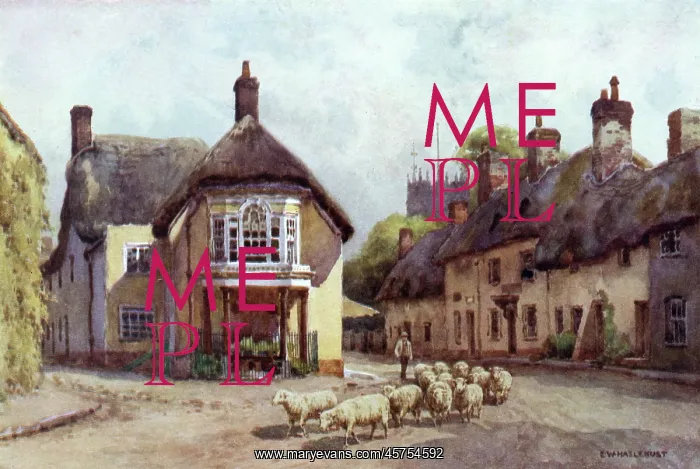 : PUDDLETOWN, DORSET : PUDDLETOWN, DORSET