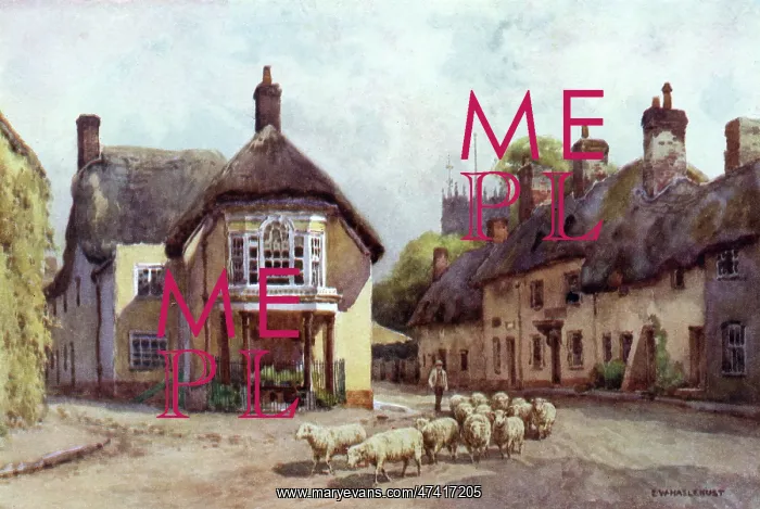 : PUDDLETOWN, DORSET : PUDDLETOWN, DORSET