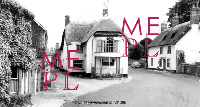  : Puddletown, the Square c1955