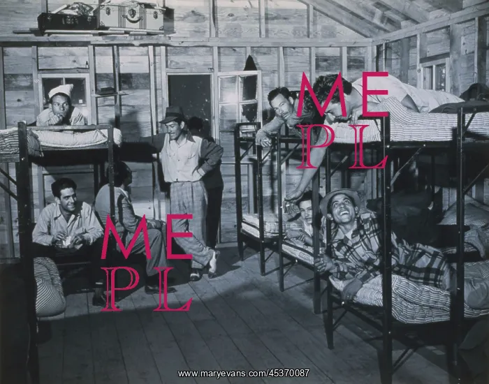 : Puerto Rican migrant workers in barracks on a fruit : Puerto Rican migrant workers in barracks on a fruit