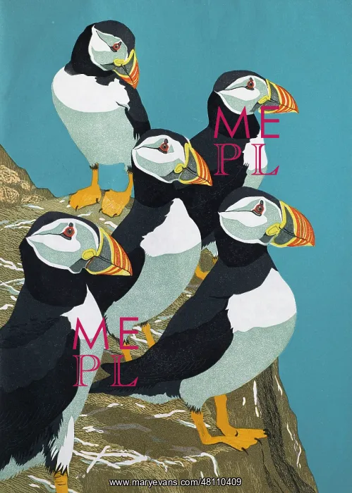 : Five Puffins : Five Puffins