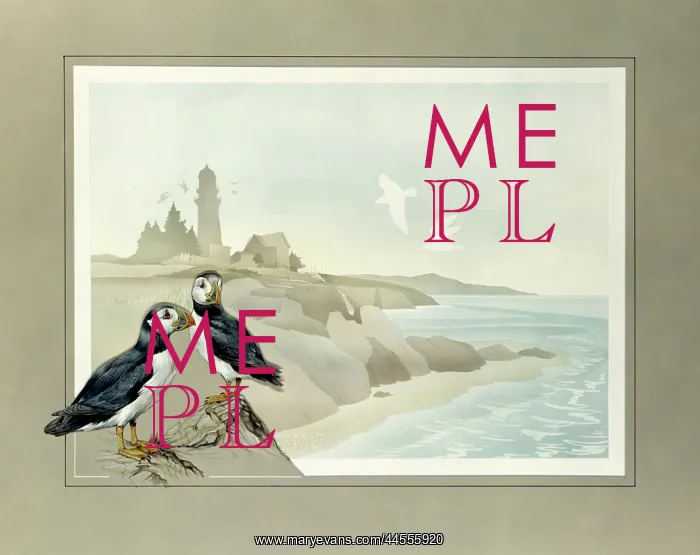: Two Puffins and a coastal landscape : Two Puffins and a coastal landscape