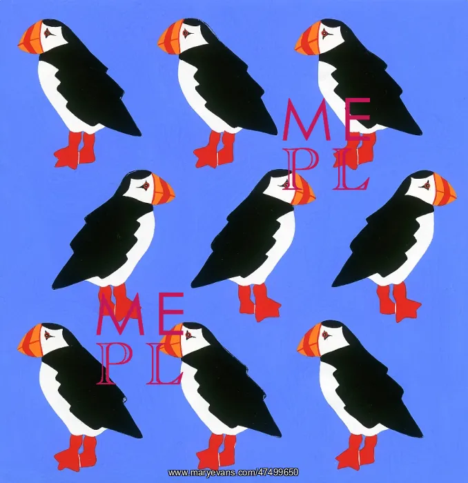 : Puffins ? gift wrap design : Puffins ? gift wrap design