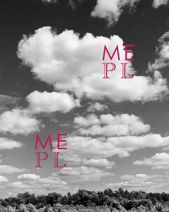: Puffy Clouds in Sky Above Treetops : Puffy Clouds in Sky Above Treetops