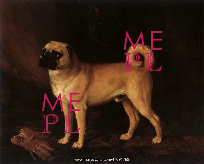  : Pug