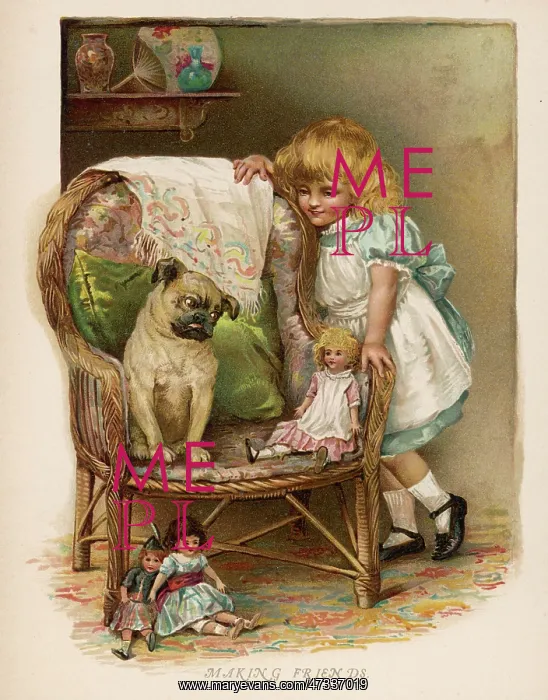  : PUG AND DOLL