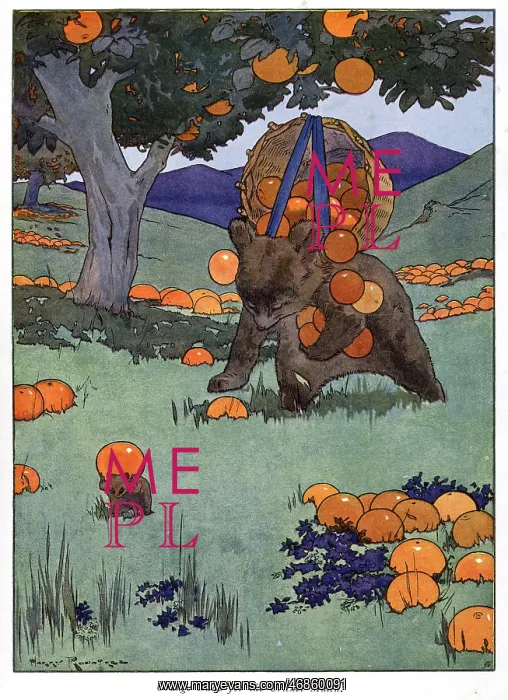 : Pug Peter -- a bear gathering fallen oranges : Pug Peter -- a bear gathering fallen oranges