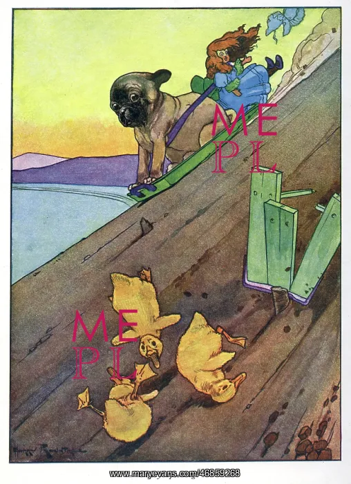  : Pug Peter -- dog and ducklings on steep slope