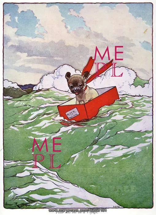 : Pug Peter -- dog riding waves in a box : Pug Peter -- dog riding waves in a box