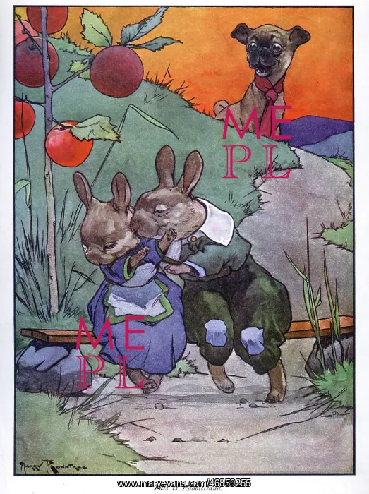 : Pug Peter -- dog watching rabbits : Pug Peter -- dog watching rabbits