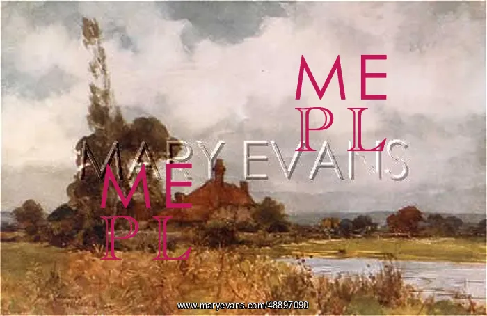  : PULBOROUGH MARSH 1906