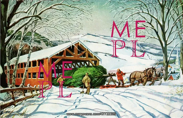  : Pulling Christmas Tree