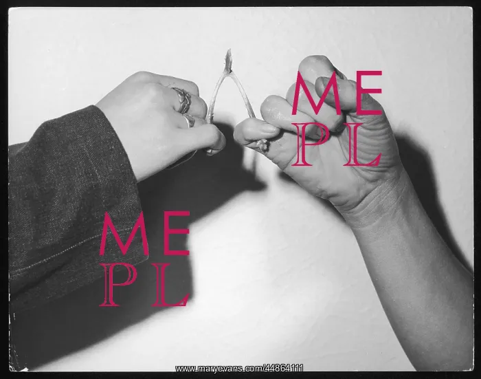 : Pulling the wishbone : Pulling the wishbone