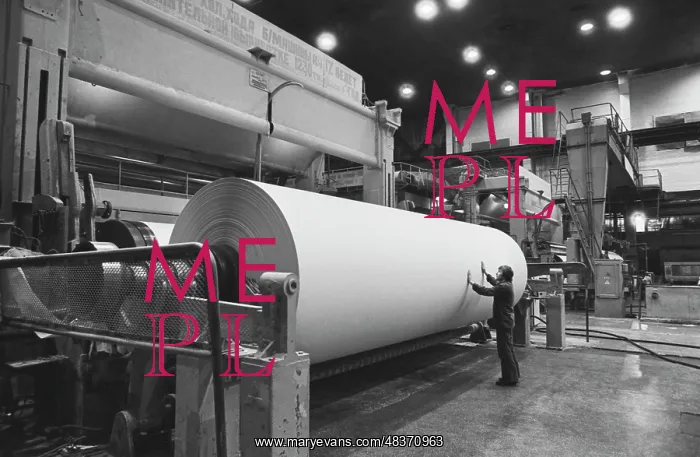 : Pulp and paper mill : Pulp and paper mill