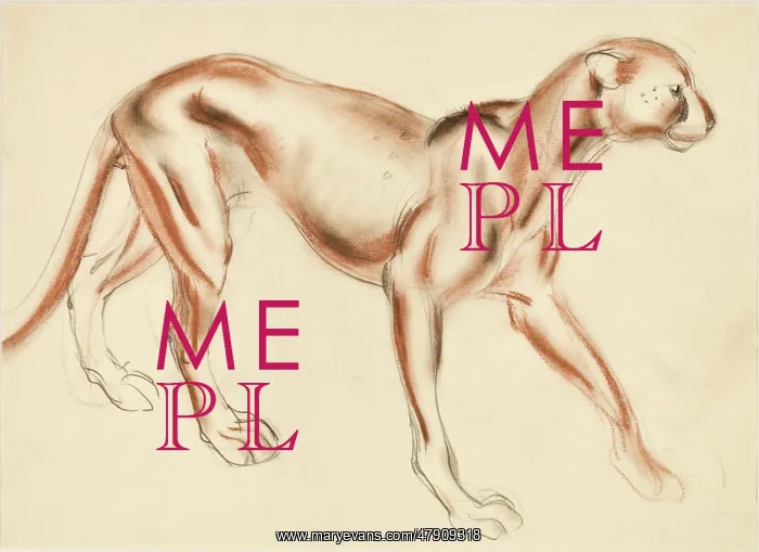  : A Puma - pastel study