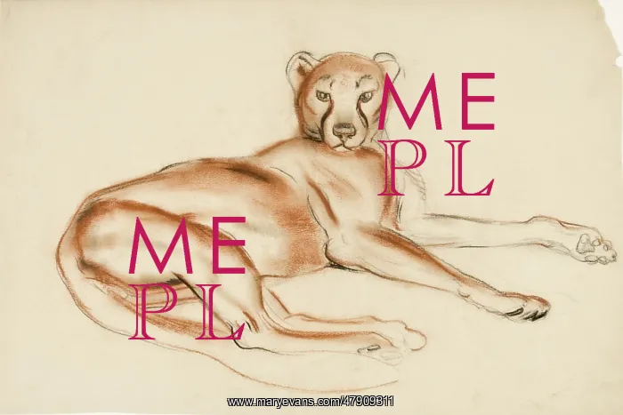  : A Puma - study in pastel
