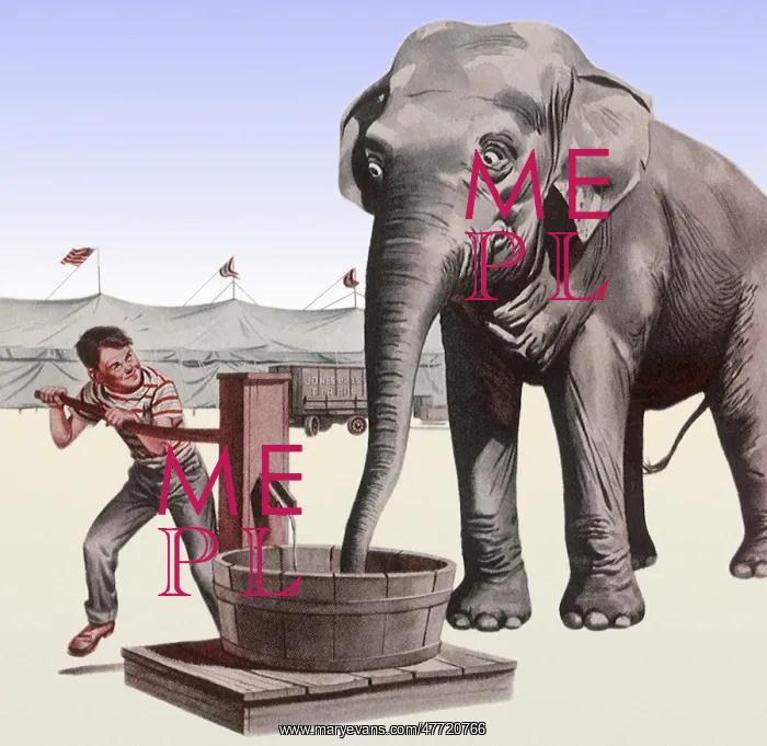  : Pumping Elephant's Water