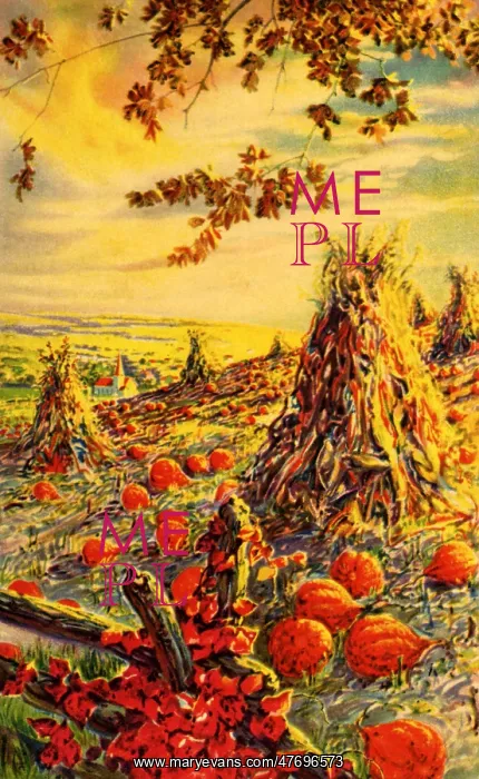 : Pumpkin Field : Pumpkin Field