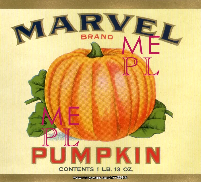 : Pumpkin Vegetable Label